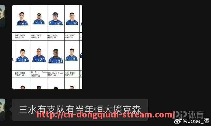 懂球帝直播-尼斯作为法甲球队其当前赛季的表现和战术特点如何（法甲尼斯老板）
