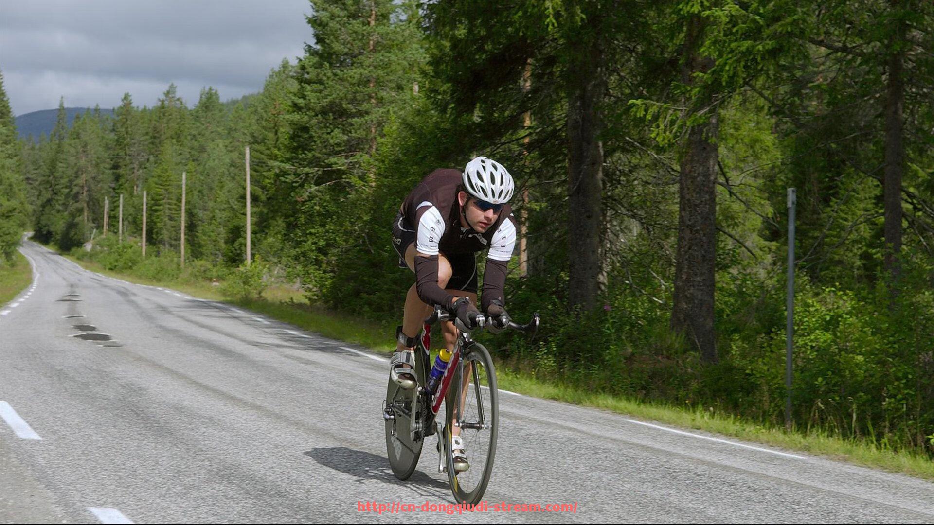 懂球帝直播-意甲与德甲所有球队标志及对比展示