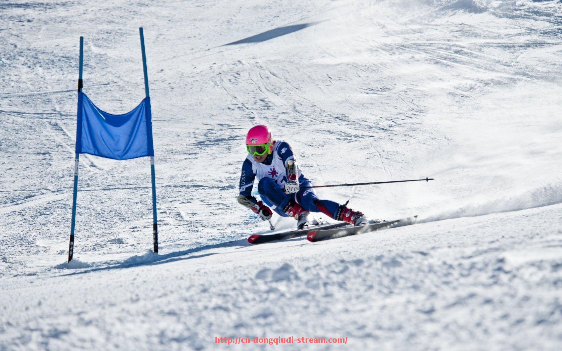 懂球帝直播-火箭队2008至2009赛季的整体表现回顾